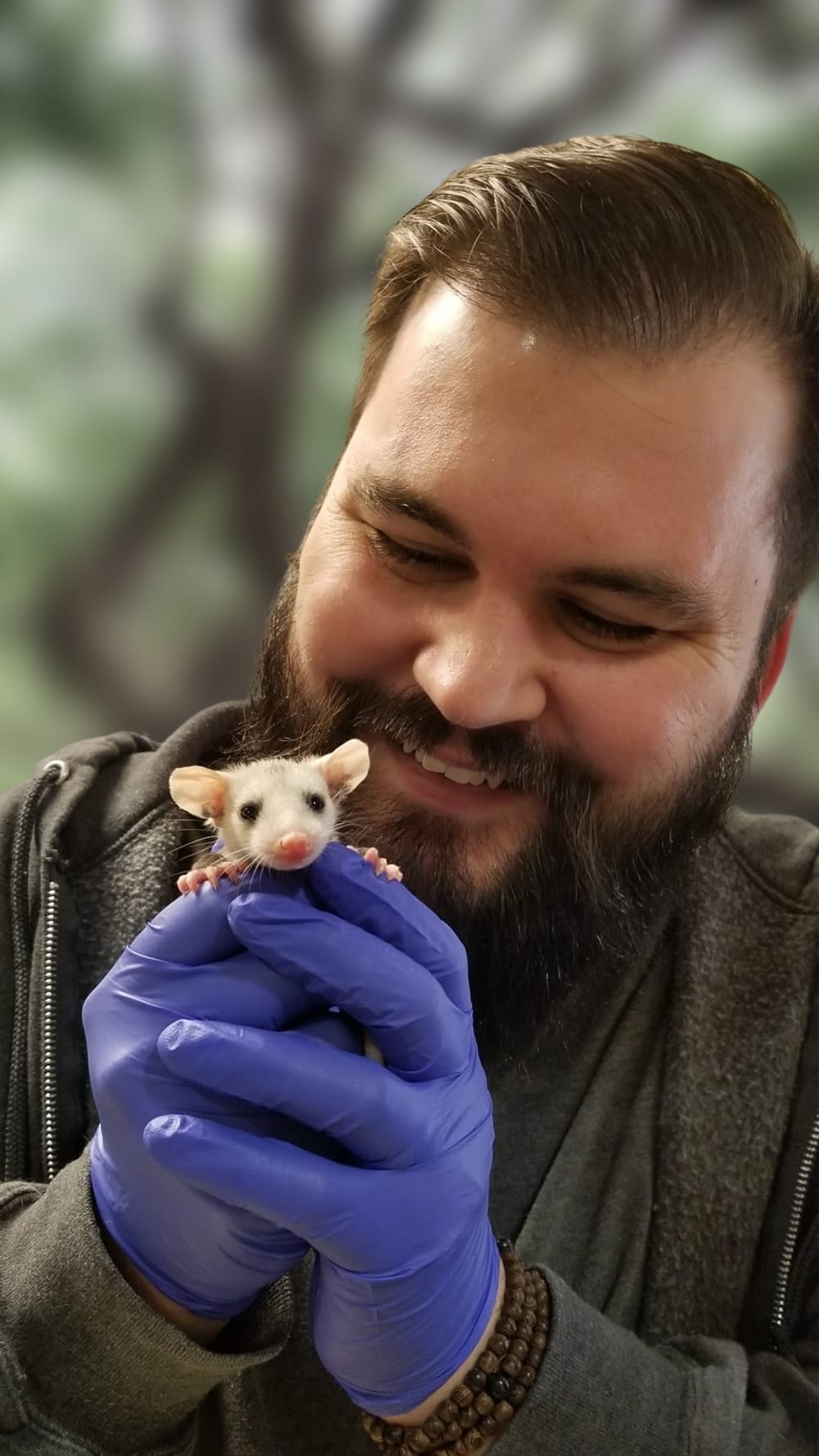 Remy Sheppard holding a baby opossum during wildlife rehab work